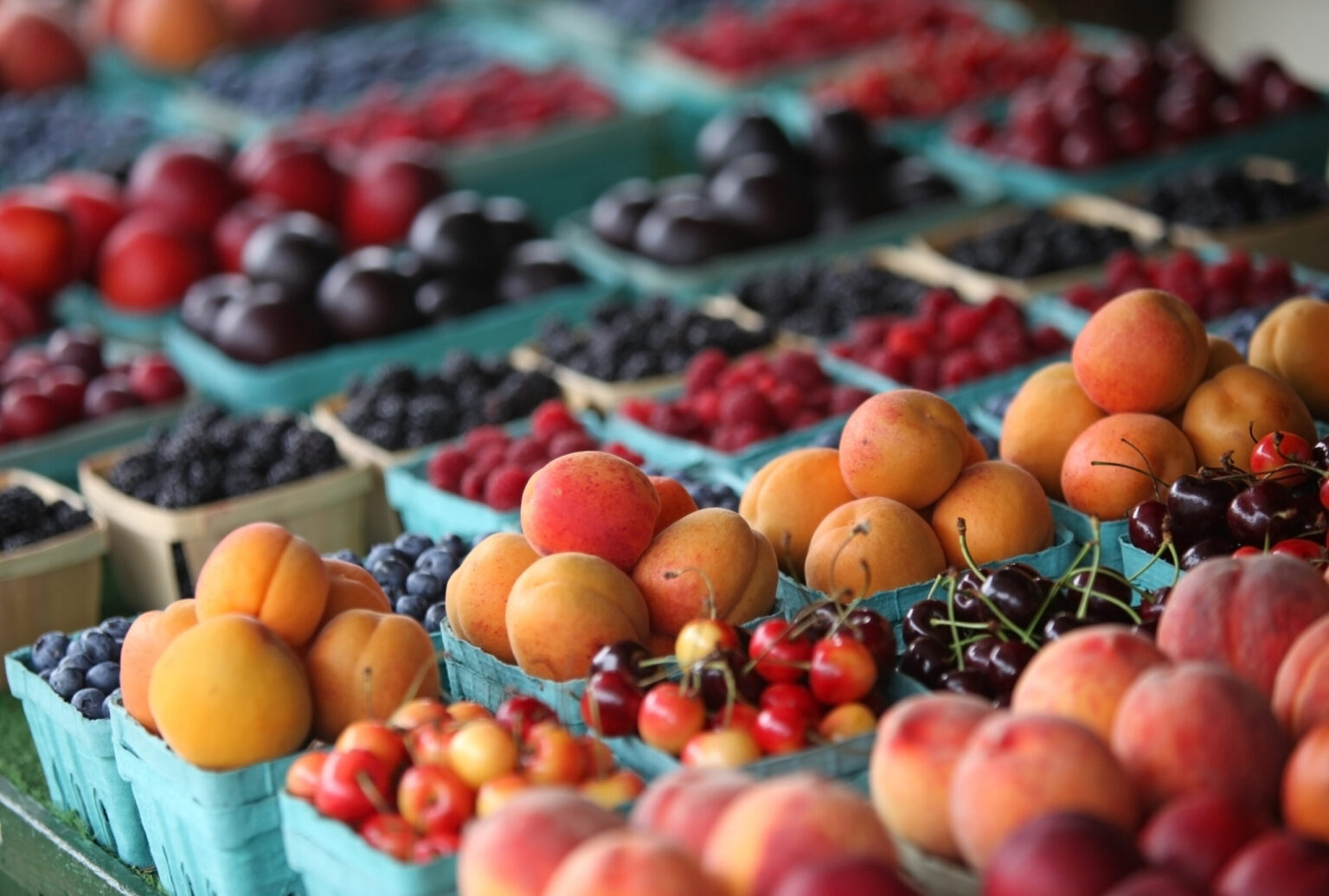 Farmer's Market