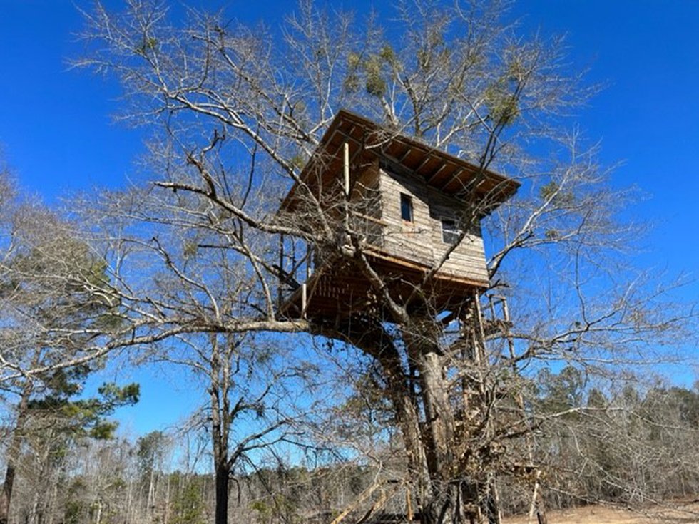 TREE HOUSE AIRBNB2