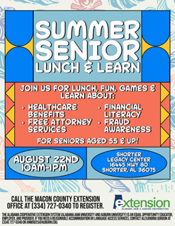 Summer Senior Lunch and Learn Flyer